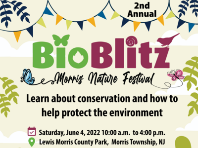BioBlitz Morris Nature Festival