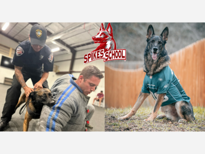 Spike's School Decoy Training for K9 Teams at New York Jets Facility