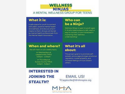 Wellness Ninjas Group beginning in July