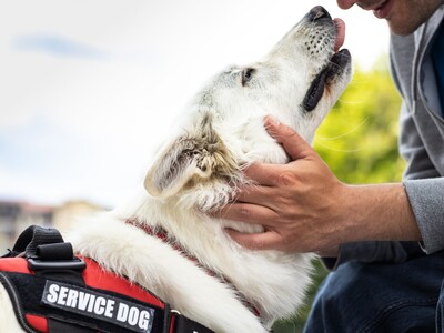 New Jersey AG and Division on Civil Rights Battle Disability Discrimination: Probable Cause Found in Five Cases