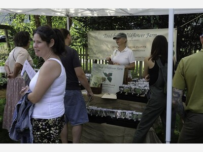 Madison Environmental Commission to Host Native Plant Sale, Elevating Local Eco-conscious Home & Garden Tour