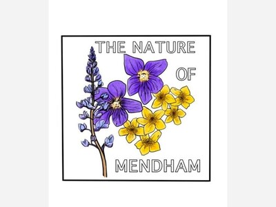  The Nature of Mendham  Nears Wildlife Certification, Announces Native Plant Sale and Garden Tour
