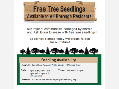 Borough of Mendham Free Tree Seedlings