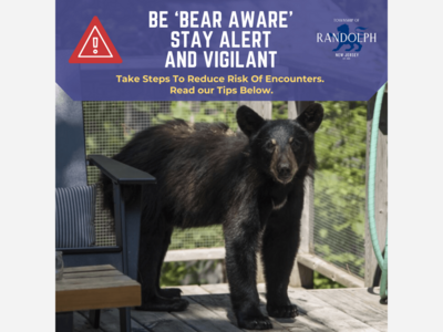 Bear Sighting Alert for Randolph Residents