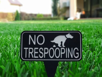 I Have a Moral Responsibility To Let My Dog Pee on Your Lawn.