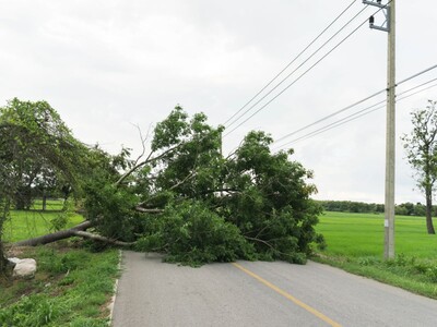 Madison Road Closures