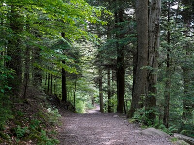 Seven Trail Projects Funded: $1.3 Million in Grants to Enhance Local Trails