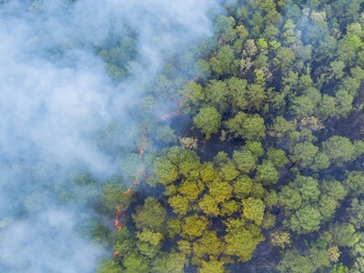 Smell of Smoke & Jennings Creek Wildfire in West Milford