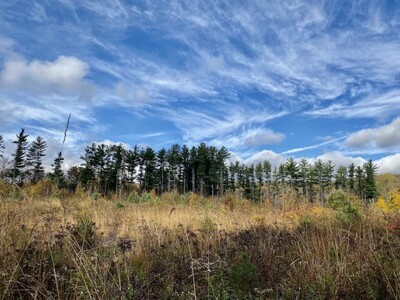 Morris County Approves $1.8 Million for Open Space Preservation