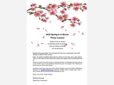 Spring is in Bloom Photo Contest