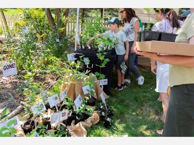 Native Plants Star on Sept. 6 Garden Tour and Plant Sale in Madison