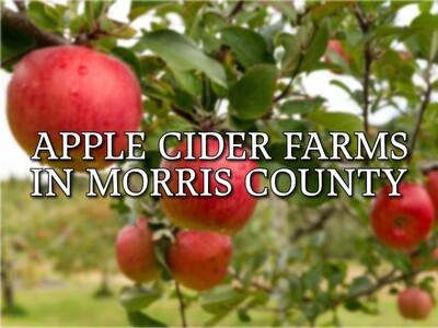 Morris County’s Apple Cider Farms Open for Autumn