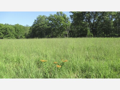 Morris County’s 2025 Open Space Recommendations