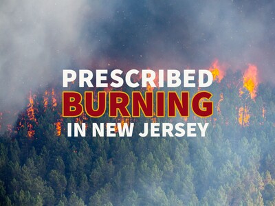 New Jersey Forest Fire Service Launches Annual Prescribed Burning Program