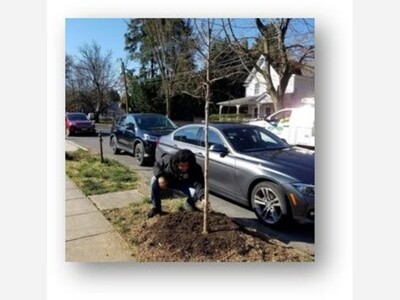 Morristown, NJ Receives Boost in Urban Forestry Efforts with $1.1 Million Statewide Grant