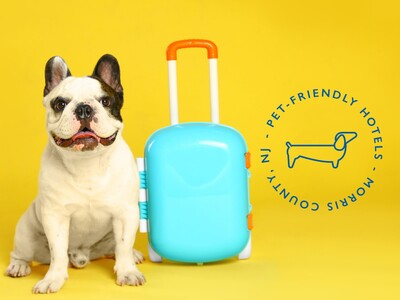 Pet-Friendly Lodging in Morris County