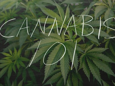 NJBAC Welcomes First Executive Director of the Cannabis Training Academy