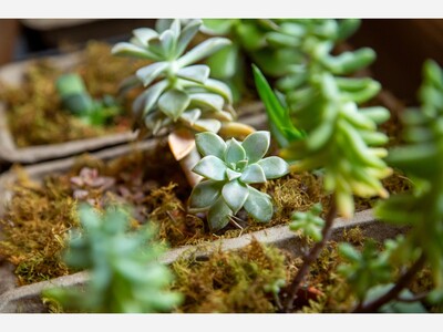 Morris County Welcomes New Certified Master Gardeners