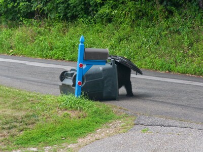 Bear Resistant Garbage Can Distribution, Rockaway Township