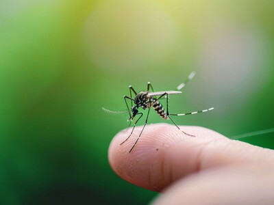 First Cases of West Nile Virus Reported in New Jersey