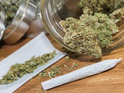 New Jersey’s Cannabis Training Academy Enrolls Over 1,000 Students Since October Launch