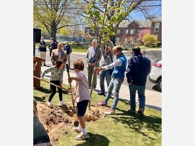 $4.5 Million in Grants Available for Tree Plantings at New Jersey Schools