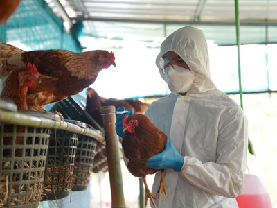 Bird Flu Confirmed in Essex County Bird Market, Prompting Containment Measures
