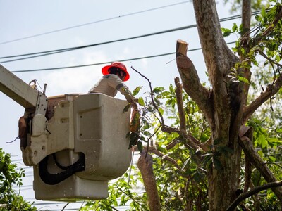 Over 7,000 JCP&L Customers Lose Power During Heat Wave Across New Jersey