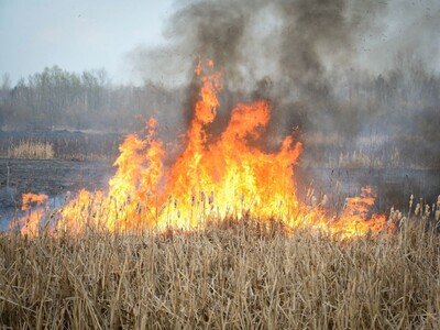 Brush Fire and Road Construction Cause Major Delays in Morris County