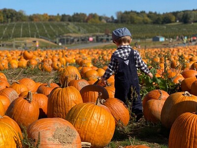 Pumpkin Patches in Morris County, NJ Open for Fall Festivities