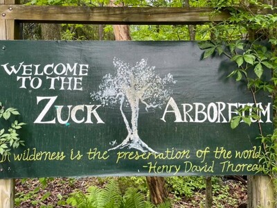 Madison & Drew Sign Deal To Preserve Drew Forest, Open Other Land for Housing Redevelopment