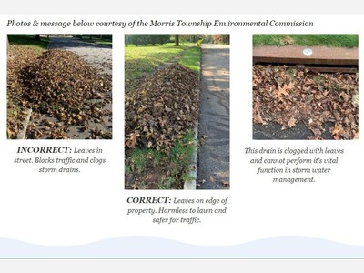 Please Keep Leaves Off Streets and Out of Storm Drains