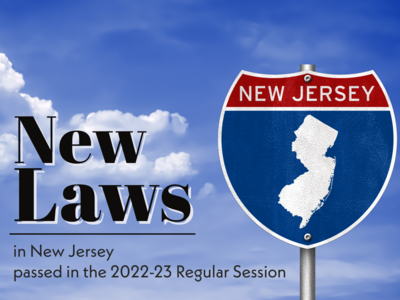 New Laws Passed in NJ, 2022, by Issue