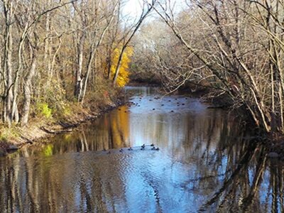 Update on Parsippany River Levels and Flooding Situation