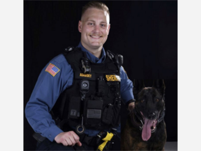 Joint Operation Leads to Apprehension of Alleged Car Burglar in Madison