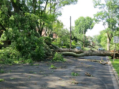 Multiple Road Closures in Morris County Due to Construction and Downed Tree