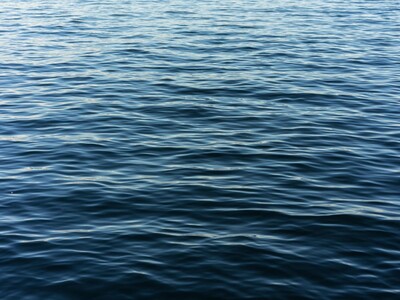 Roxbury Community Mourns the Loss of Young Resident Found in Sunset Lake