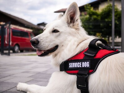 Hackensack Meridian Health Settles ADA Violation Case Over Service Animal Access
