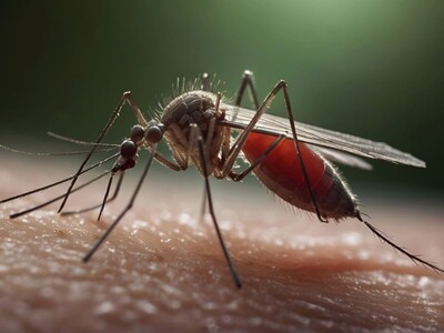 EEE Virus Detected in Rockaway Township; Authorities to Initiate Control Measures