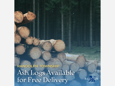 Randolph Residents, Ash Logs Available for Free Delivery!