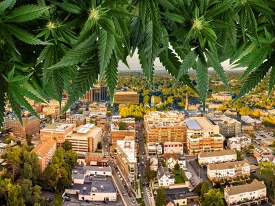 Morristown Opens Doors for Cannabis Retailers: Two Local Licenses Up for Grabs