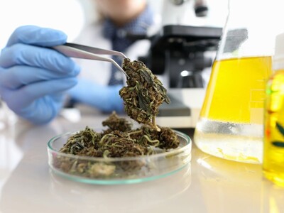 NJ-CRC Approves New Cannabis Testing Guidelines