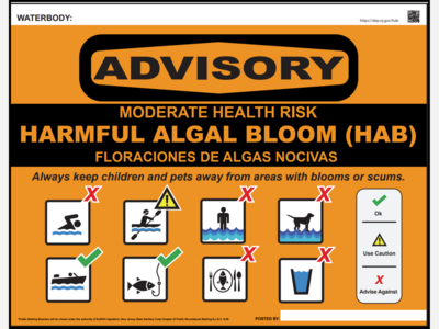Potential Harmful Algal Bloom (HAB) at Park Lake