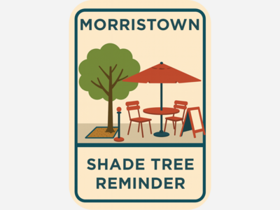 Protect Street Trees and Tree Wells: Setup with Care