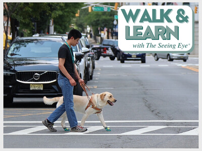Walk & Learn with The Seeing Eye