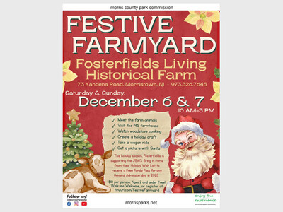 Festive Farmyard at Fosterfields 