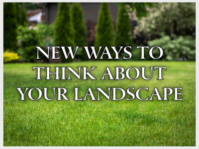 New Ways to Think About Your Landscape
