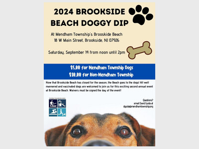 Doggy Dip at Brookside Beach