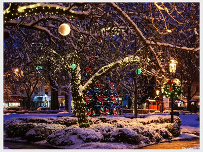 Christmas Festival at the Green