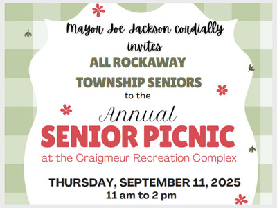 Rockaway Twp Senior Picnic